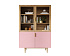 Буфет с двумя дверками "Line" LN11/GR1/pink
