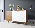 Комод "Berber" с двумя дверками и ящиками 15 принт арт BB05/Print_15