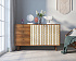 Комод "Berber" с двумя дверками и ящиками 23 принт арт BB05/Print_23