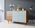 Комод "Berber" с двумя дверками и ящиками 13 принт арт BB05/Print_13