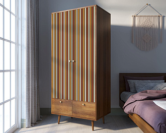 Шкаф двухстворчатый "Berber" принт 20 арт BB16/Print_20